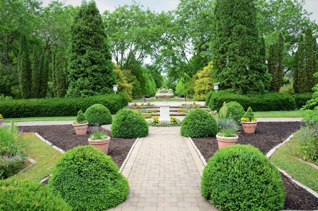 Verde Ramírez 2